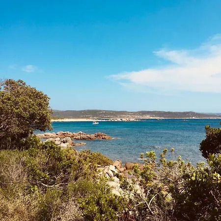 Domaine A Gioia Di Campa - & T2 Au Choix * Figari (Corsica)