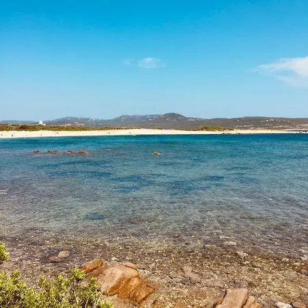 A Gioia Di Campa Willa *