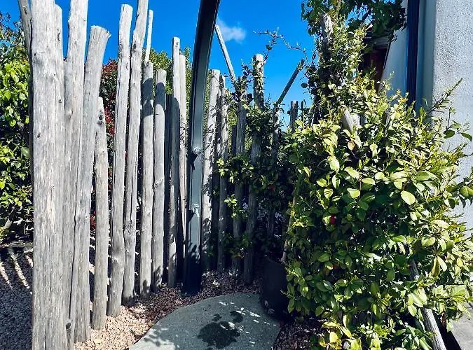 A Gioia Di Campa Figari (Corsica)